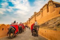 Rajasthan Tour